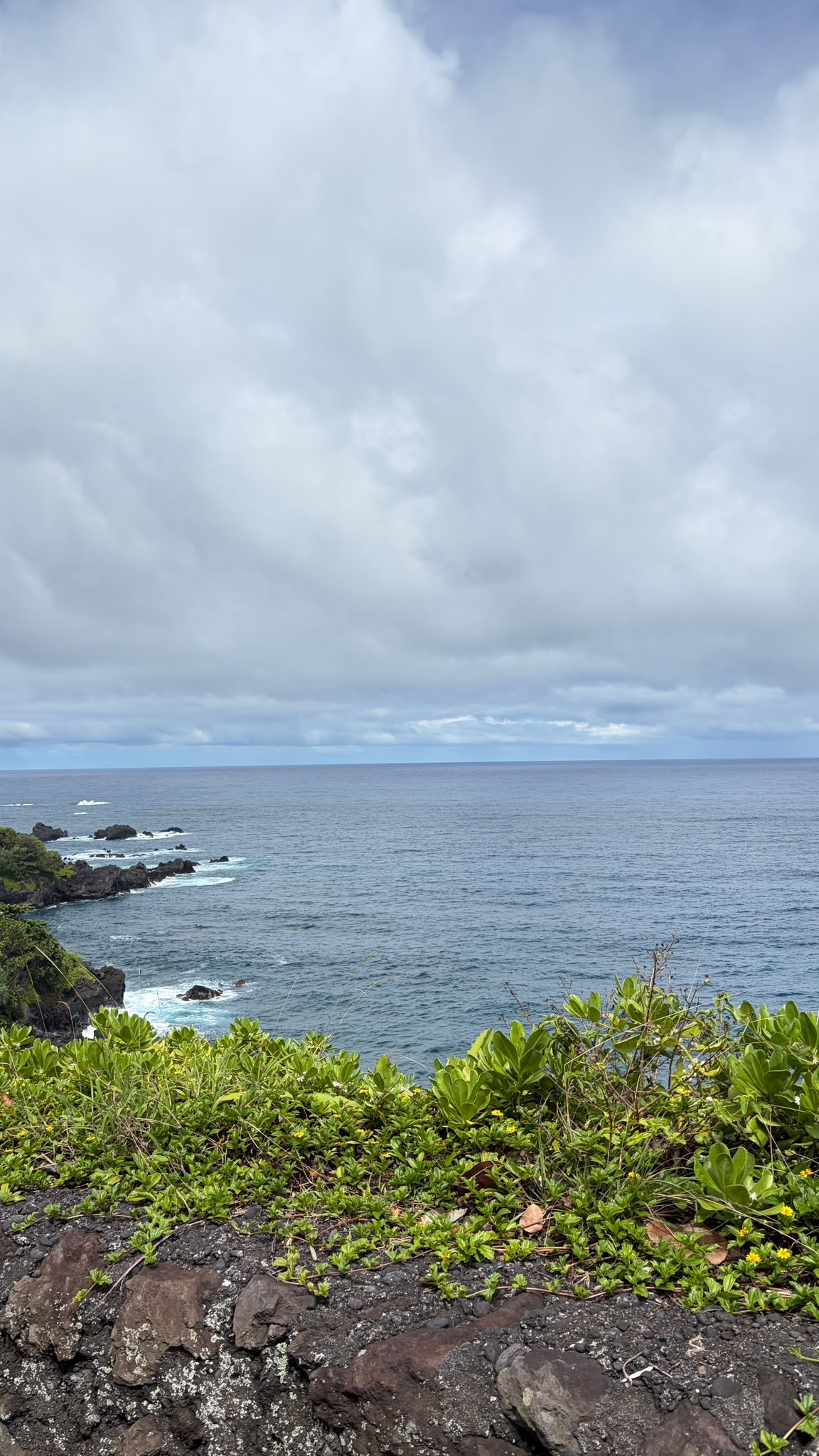 האוקיינוס בתחילת Road to Hana